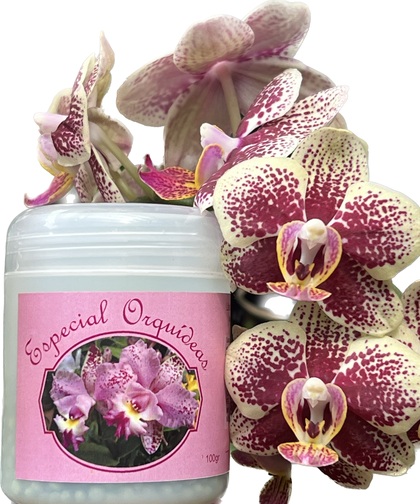 Basacote M6 Liberação Lenta - Especial Orquídeas