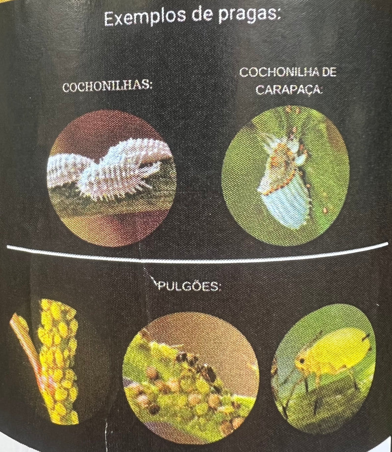 INSETICIDA NATURAL PODEROSO NA PROTEÇÃO DA SUA PLANTA 1 LITRO