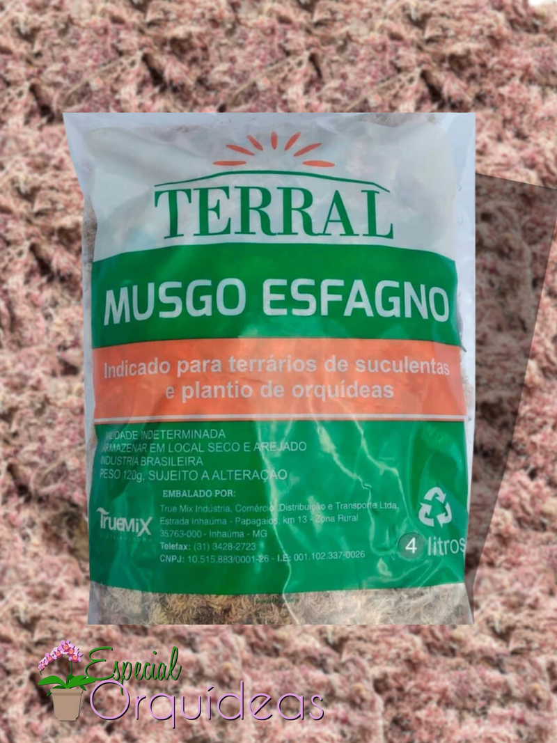 Musgo Esfagno Para Suculentas E Orquídeas kokedama e decoração 4l Terral