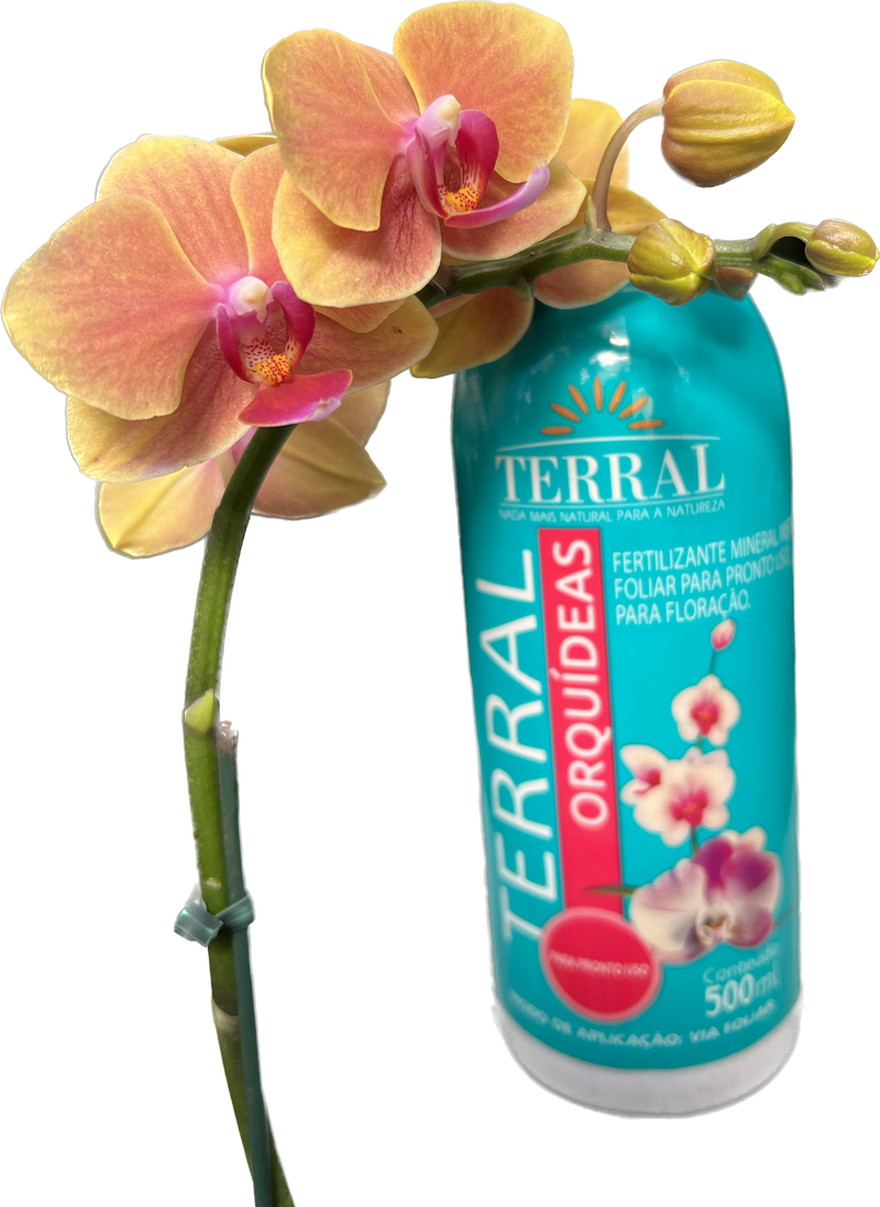 Fertilizante Foliar Terral Orquídeas 500ml - Pronto para uso Spray