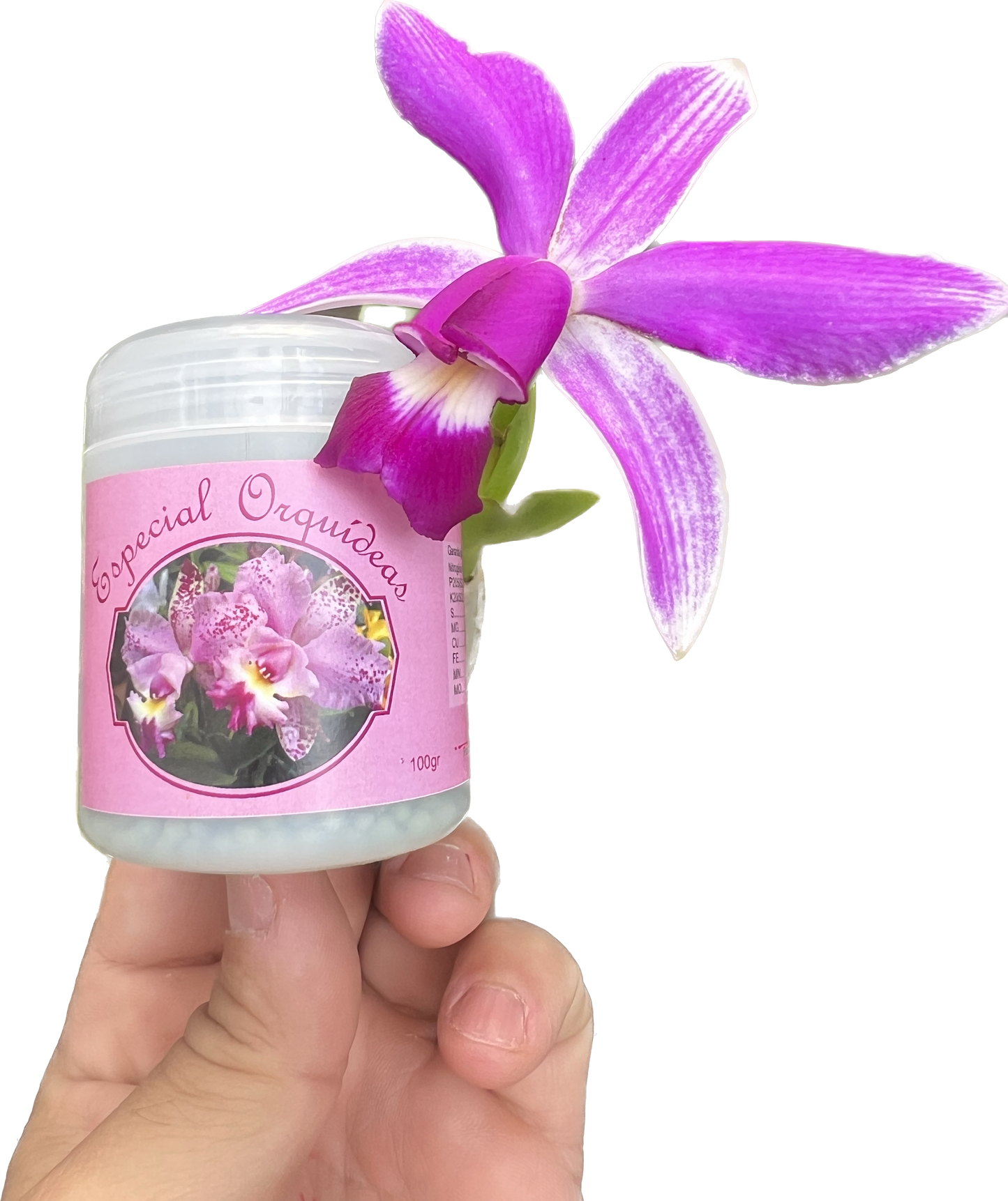 Basacote M6 Liberação Lenta - Especial Orquídeas