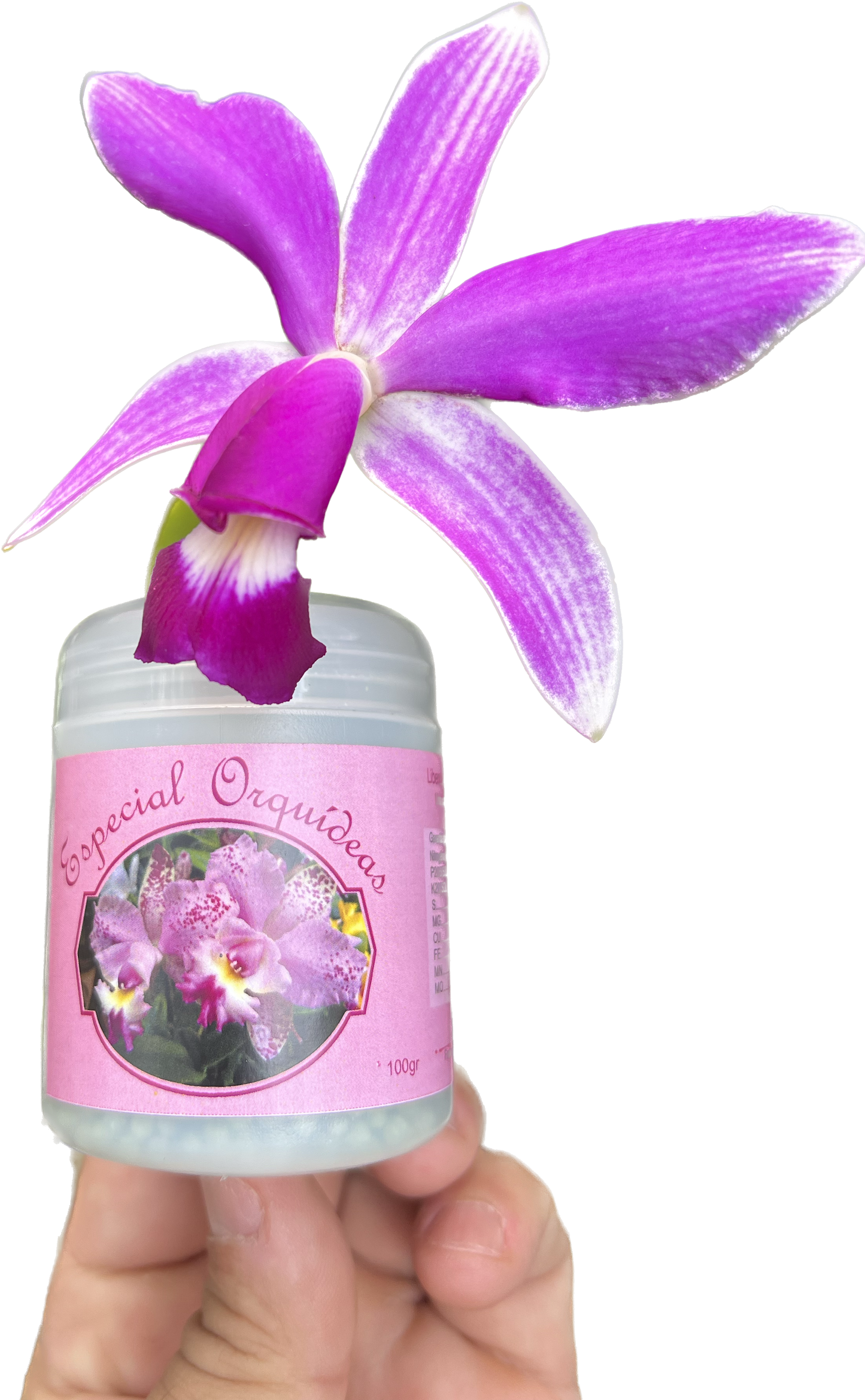 Basacote M6 Liberação Lenta - Especial Orquídeas