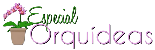 Especial Orquideas